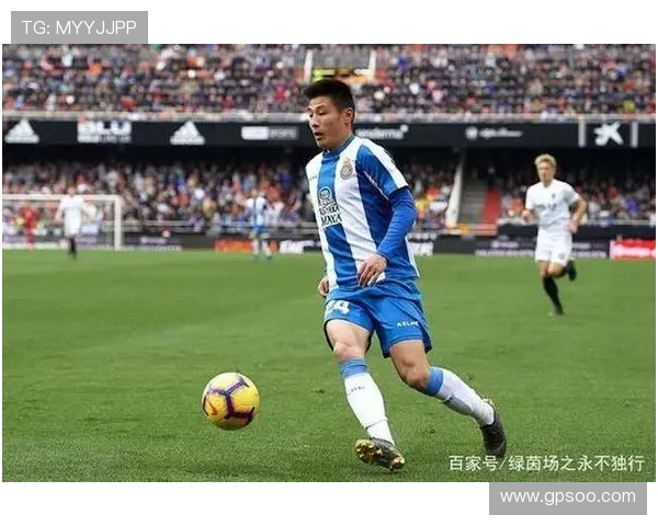 杨晨:从绿茵场到赛场边缘的传奇之路与人生转型探索 杨晨:从绿茵场到赛场边缘的传奇之路与人生转型探索