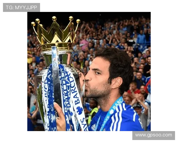 切尔西足球俱乐部的辉煌历史与未来展望:从蓝军荣耀到全球竞技霸主之路