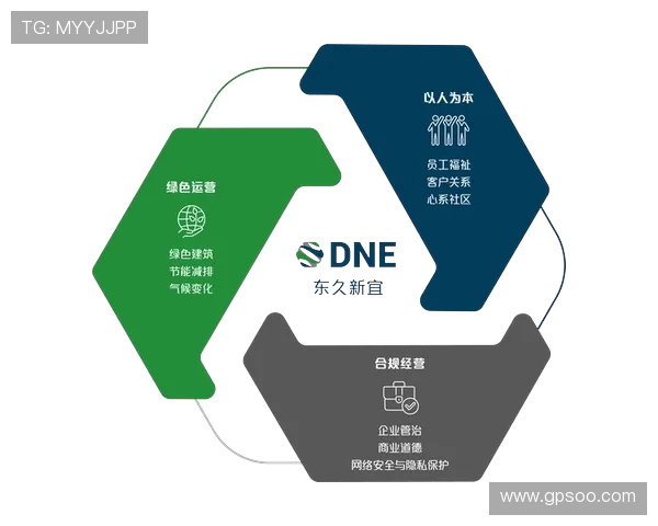 福建浔兴股份战略升级推动产业链融合与可持续发展路径探索