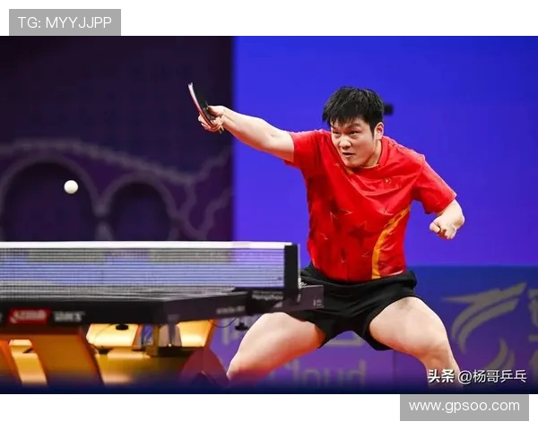 乒乓球专题：深入探讨杭州乒乓球队的实力与发展潜力