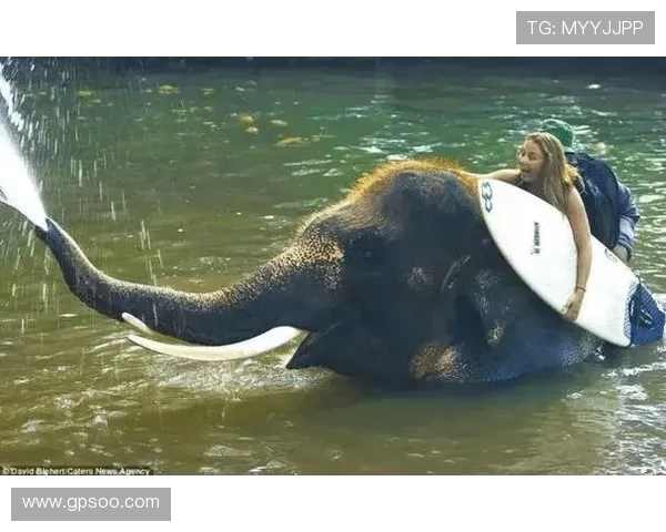 极限运动的魅力与挑战杨敏分享她的冒险人生与成长故事