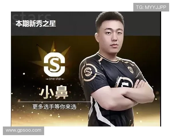 西安篮球队的崛起之路:从默默无闻到辉煌成就的纪实故事