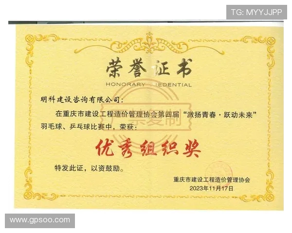 重庆羽毛球队的逆袭之路：从默默无闻到全国瞩目的奋斗历程