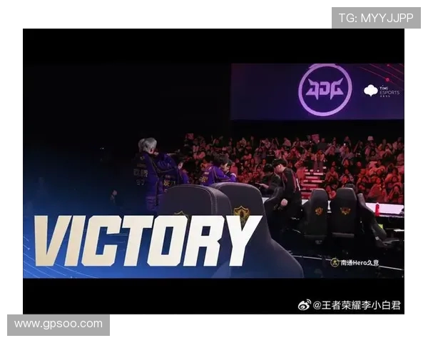 南京Hero久竞再启征程奋勇追梦展现王者荣耀巅峰风采